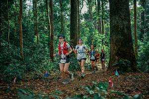 BIB: 
                            <button type="button" onclick="openModal(26099379)" class="btn btn-primary btn-sm float-right btn-popup" data-toggle="modal" data-target=".modal-high-quality">
                        <i class="fas fa-shopping-cart"></i> Add to Cart
                    </button>
                                            <button type="button" onclick="isThisMe(26099379, true)" class="btn btn-success btn-sm float-right btn-popup btn-isme hidden" data-toggle="tooltip" data-placement="bottom" title="นี่คือรูปของคุณใช่ไหม คลิกที่นี่เพื่อเอาเข้าอัลบั้ม">
                        <i class="fas fa-plus"></i> Add to album
                    </button>
                    <button type="button" onclick="isThisMe(26099379, false)" class="btn btn-warning btn-sm float-right btn-popup btn-isnotme hidden">
                        <i class="fas fa-ban"></i> Remove from album
                    </button>